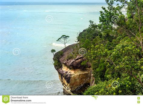 Telok Padan Kecil Cliff In Bako National Park Stock Image Image Of