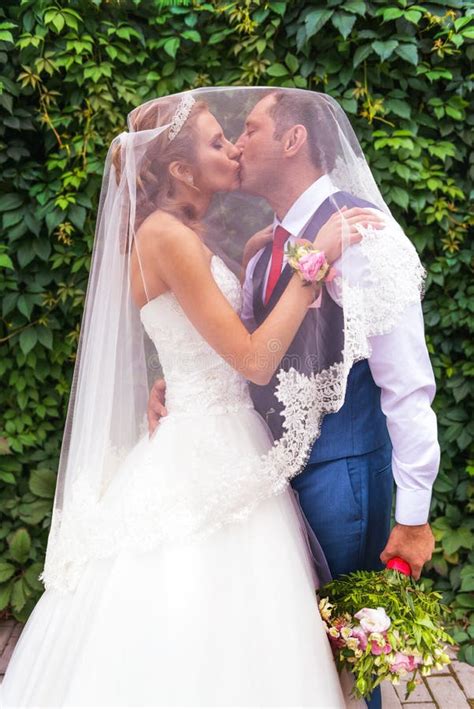 Bride And Groom Kissing Under Veil Near Bush Stock Image Image Of