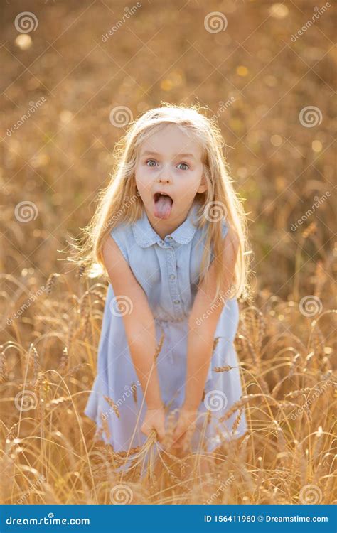 a little blonde girl is standing in a wheat field in summer with spikelets in her hands stock