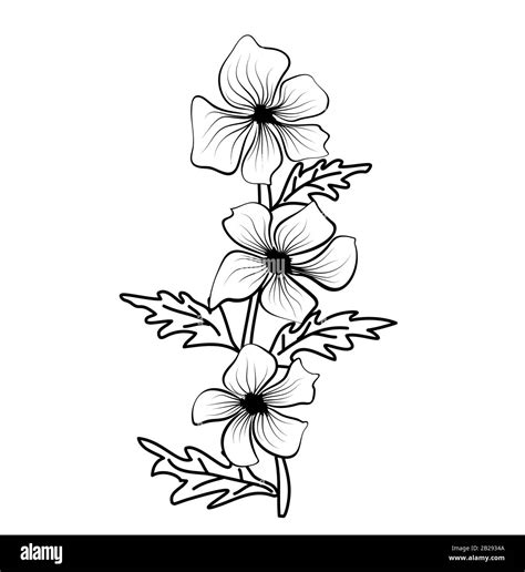 Flower Outline Vector Stock Vector Images Alamy