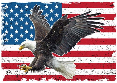 Bald Eagle American Flag Digital Art By Carlos V Pixels