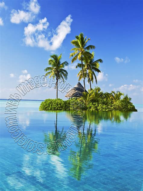 Oasis brings the latest high street fashion online from dresses to boots, jeans to accessories. Oasis |Mid-size Wall Murals |The Mural Store