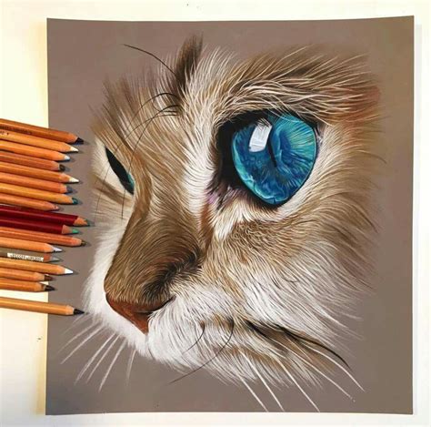 10 Dibujo Gato Realista