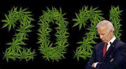 Biden Joe Marijuana Legalization Wins Presidency Cannabis