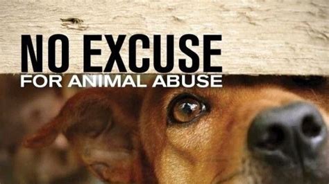 Petition · Sign The Petition To Save Animals From Being Abused Speak
