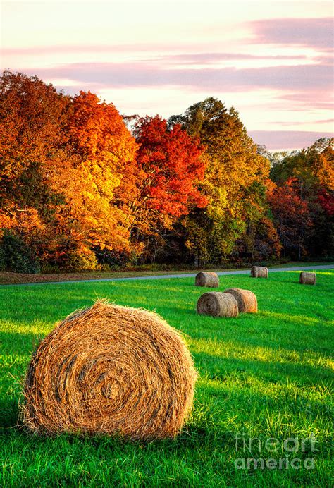 Blue Ridge Fall Colors Autumn Colorful Trees And Hay Bales I