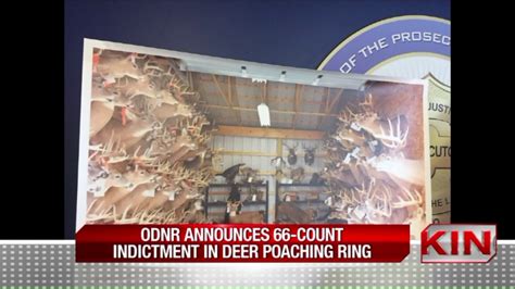 Deer Poaching Ring Youtube