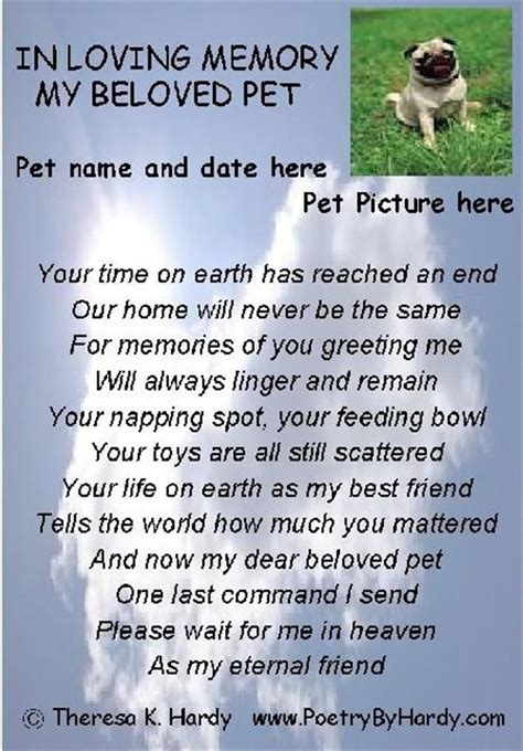 Dog Memorial Quotes Shortquotescc