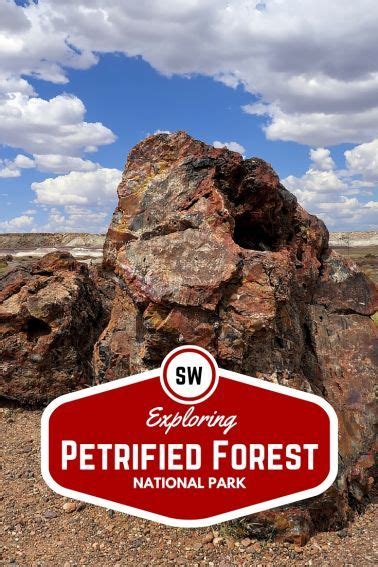 Exploring Petrified Forest National Park With Kids Petrified Forest