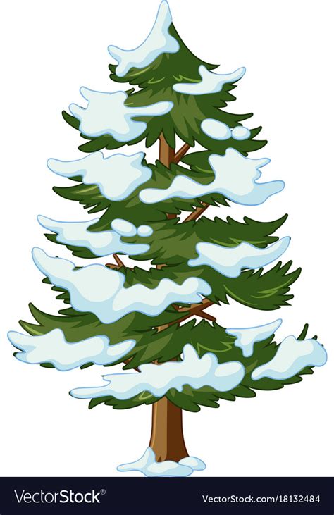 Pine Tree With Snow On It Royalty Free Vector Image
