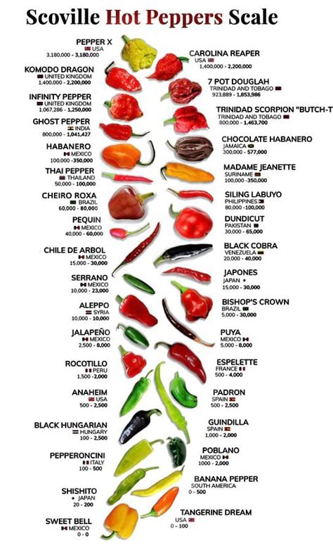 Scoville Hot Peppers Scale Photo