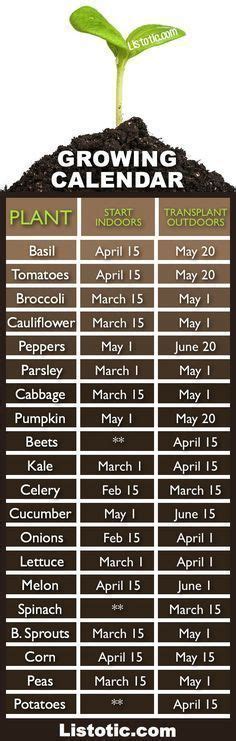 When To Plant Herbs Sowing Calendar Indoors Outside Growing In Pots