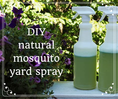 How To Make Homemade Organic Mosquito Yard Spray Dengarden