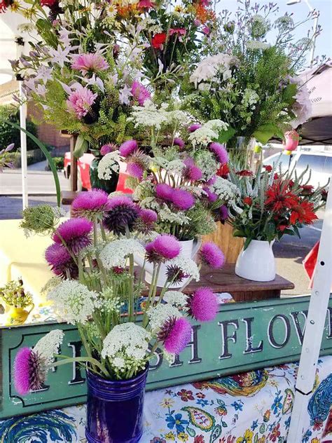 This, of course, is untrue, but the name sticks around to keep us on our toes. Bountiful harvest: Maryville Farmers' Market set up for ...