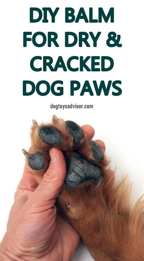 Diy Dog Balm For Cracked And Dry Paw Pads Dog Paw Moisturizer