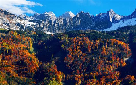 Autumn Trees Wallpaper 4k Snow Mountains Blue Sky Glacier 2618