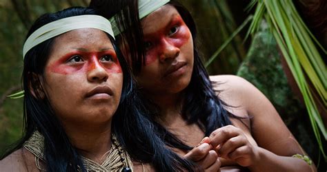 アマゾンの先住民が歴史的勝訴！ 広大な熱帯雨林を石油採掘からの保護に成功