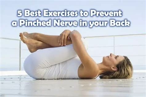 5 Best Exercises To Prevent A Pinched Nerve In Your Back