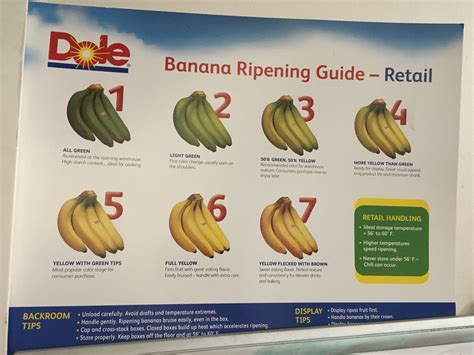 This Banana Ripeness Chart I Found In A Warehouse Mildlyinteresting My Xxx Hot Girl