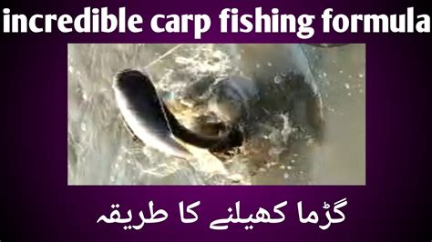 Unique Carp Fishing Formula Rohu Catla Mirgal Common Carp Special Youtube