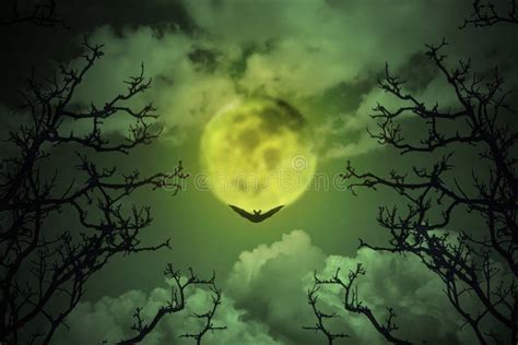 Spooky Forest Dead Tree With Full Moon Sky Stock Photo Image Of