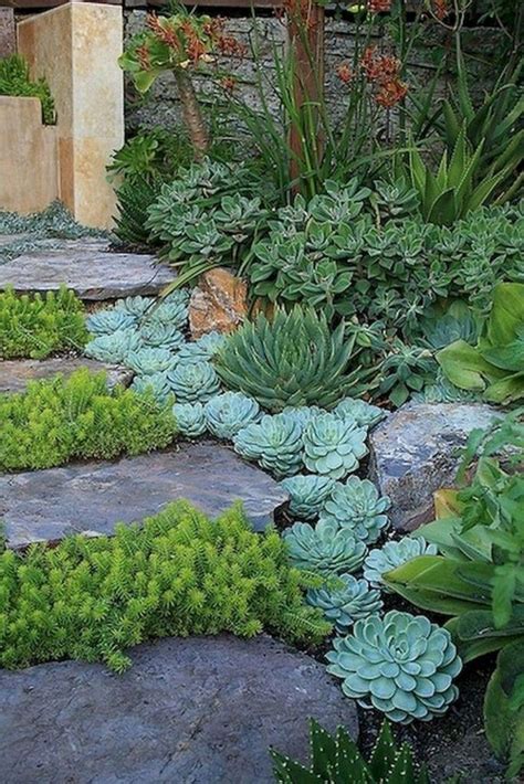 Creating A Beautiful Small Succulent Garden Tips And Tricks