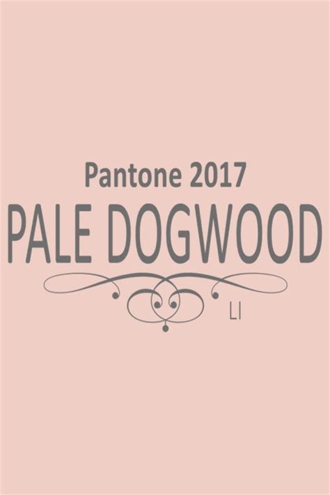 Blush And Grey Peach Blush Pantone 2017 Pantone Color Pale Dogwood