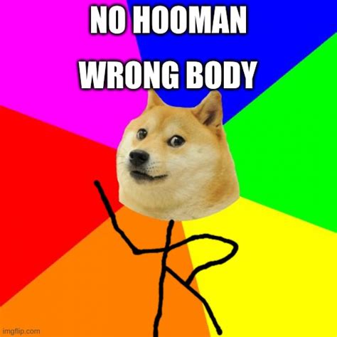 Advice Doge Meme Imgflip