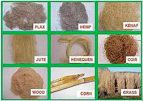 Photographic Images Of The Different Types Of Natural Fibres 2
