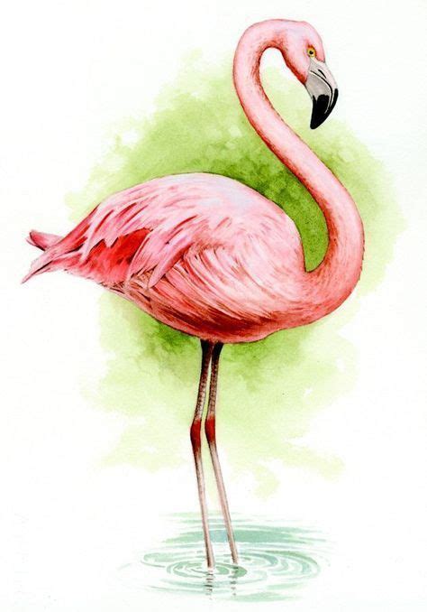 Flamingo Drawing Flamingo Painting Flamingo Art Bird Drawings