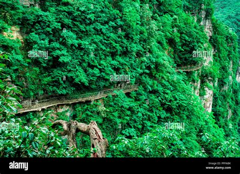 The Cliff Hanging Walkway At Tianmen Mountain The Heavens Gate At