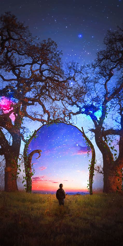 Download Colorful Silhouette Arch Starry Sky Landscape Tree