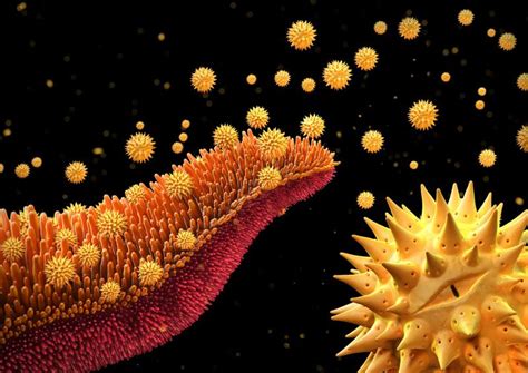 Illustration Of Pollen Grains Being Released From A Flower Wellcome
