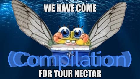 We Have Come For Your Nectar Memes Compilation Youtube