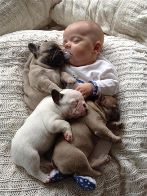 Cute Babies With Puppies 2016 17amazing Funny Pics ~ F7view
