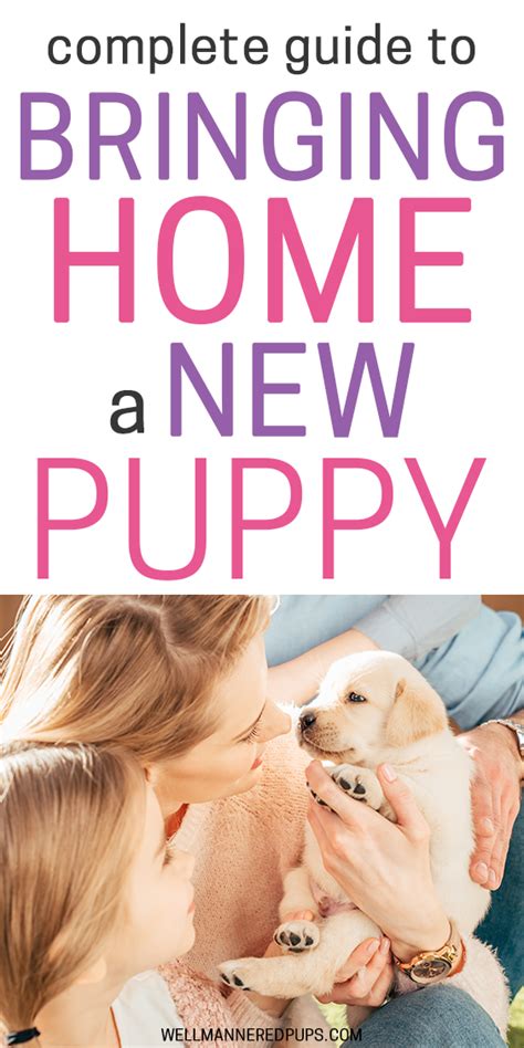Bringing Puppy Home Guide New Puppy Puppies New Puppy Checklist