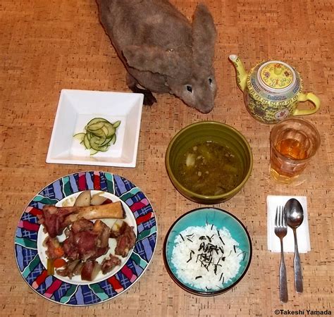 Dining With Seara Sea Rabbit Photograph By Dr Takeshi Flickr