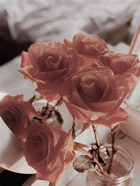 Flowers 🌺 On Twitter Rose Gold Aesthetic Aesthetic Roses Flower