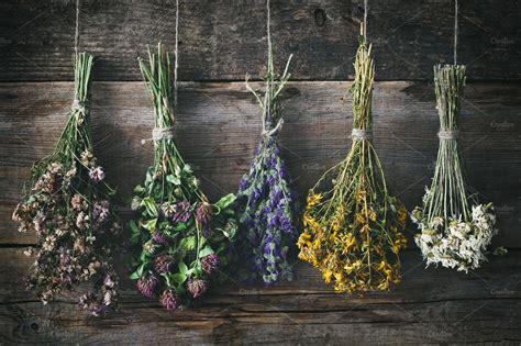 Fresh from the grower delivered to your door. Hanging bunches of medicinal herbs ~ Health Photos ...