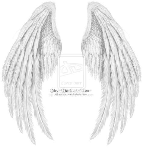 17 White Angel Wings Psd Images Angel Wings Psd Angel Wings Psd And