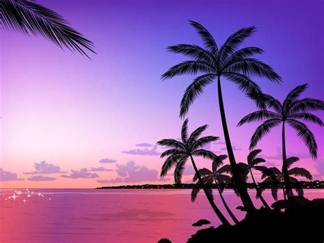 purple tropical sunset beach wallpapers top free purple tropical sunset beach backgrounds
