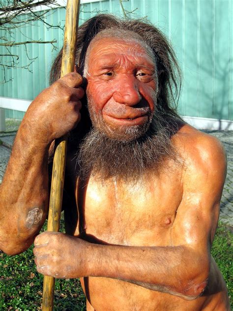 Neanderthal or neandertal is a relatively recent extinct member of the homo genus that inhabited europe and parts of western asia in the middle to late pleistocene, first appearing in the fossil record some 200,000 to 400,000 years ago and disappearing about 30,000 years ago. Fördermöglichkeiten - Neanderthal Museum