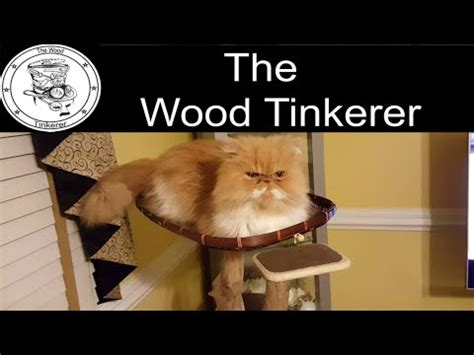 I decided to geek out and get creative with my solution. A Real Cat Tree and a Scratching Post - YouTube