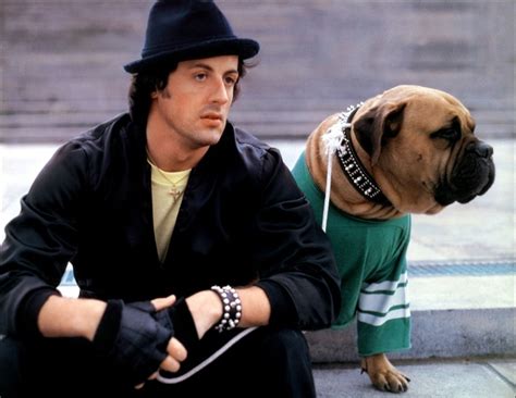 Sylvester Stallone And Butkus Rocky Ii Sylvester Stallone Rocky Balboa