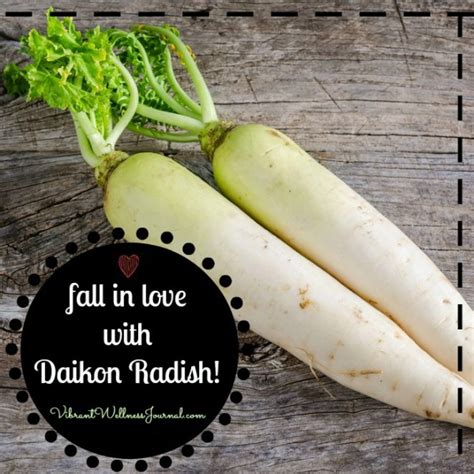 It can be used in salads to add a refreshing crunch (like this recipe) or can be pickled since it absorbs flavors very well. Daikon Radish: A Magic Root Vegetable (+ 6 Daikon Recipes!)