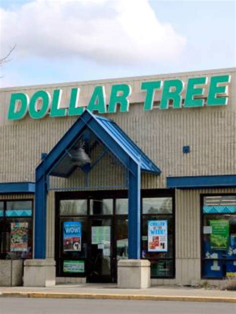 Grocery Items To Buy At Dollar Tree Edueuphoria