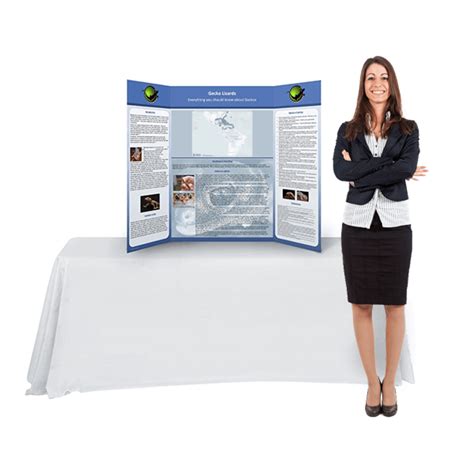 Science Fair Trifold Poster Board