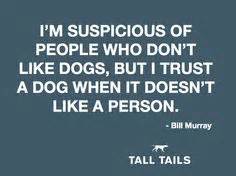 William murray polos have just the right amount of subtlety added to the sleeves, the collar, the buttons, & more. 1000+ images about Dog Quotes on Pinterest | Dog quotes, Fun dog and Inspirational