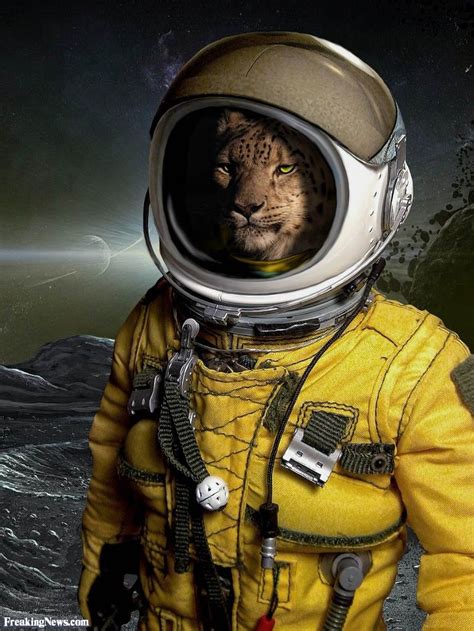 Leopard Astronaut In Space Armor All Suit Of Armor Nasa Space Suit