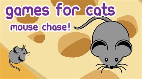 Cat Games Videos For Cats Entertainment Catching Mice Mouse Hunt Youtube